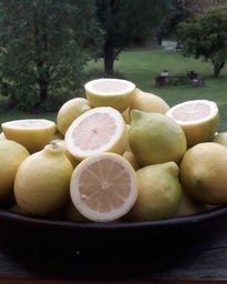 HIDROLATO DE LIMON (Citrus Limonum)